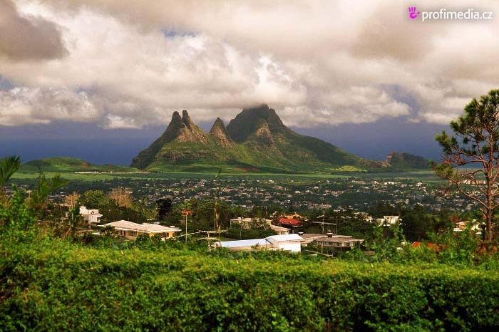 Mauricius je domovem pro mnoho druhů tropických rostlin.