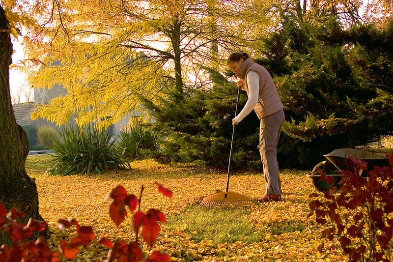 Je krásný podzimní den, čerstvý vzduch voní, sluníčko svítí a barvy kolem taky. Hrabání listí si můžeme užít a pak se radovat z úžasné listovky.