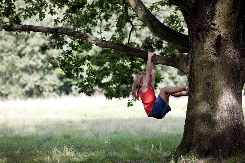 Lezení po stromech je sice nebezpečné, ale k dětskému věku jednoznačně patří.