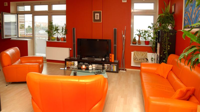 Pohled od kuchyňského koutu do obývací části přízemí bytu potvrzuje, že tu má i oranžová barva zelenou. V otevřeném okně se odráží síť v rámu.