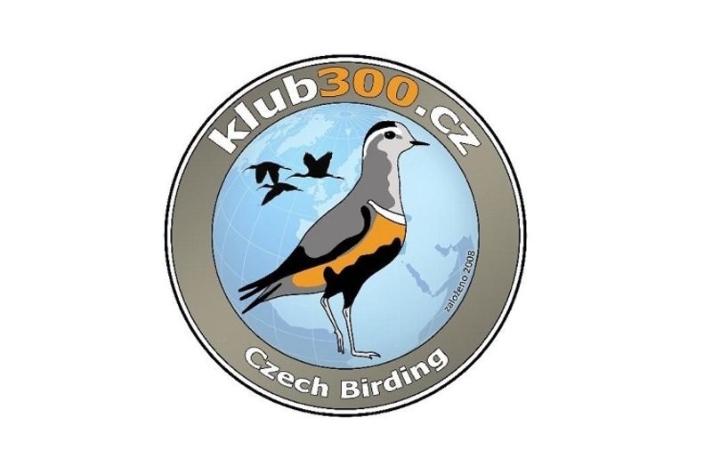 Logo Klubu 300