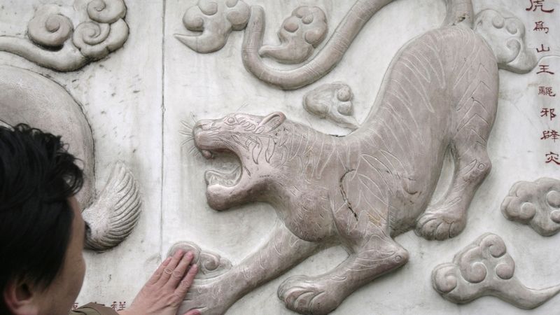 Číňan se pro štěstí dotýká reliéfu tygra na pekingském chrámu.
