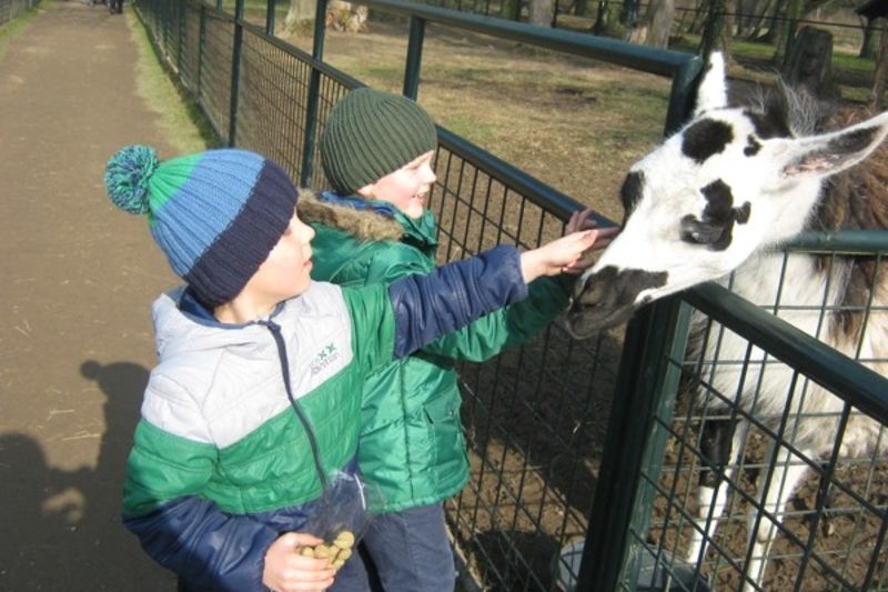 Zvláště děti si užívají návštěvu zámeckého zvěřince, kde mohou krmit zvířat z ruky. 
