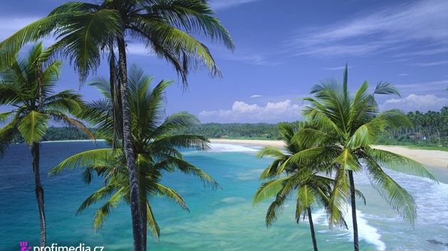 Na pobřeží, dlouhém 1600 kilometrů, jsou nejkrásnější pláže v okolí města Trincomalee na jihovýchodě země. 