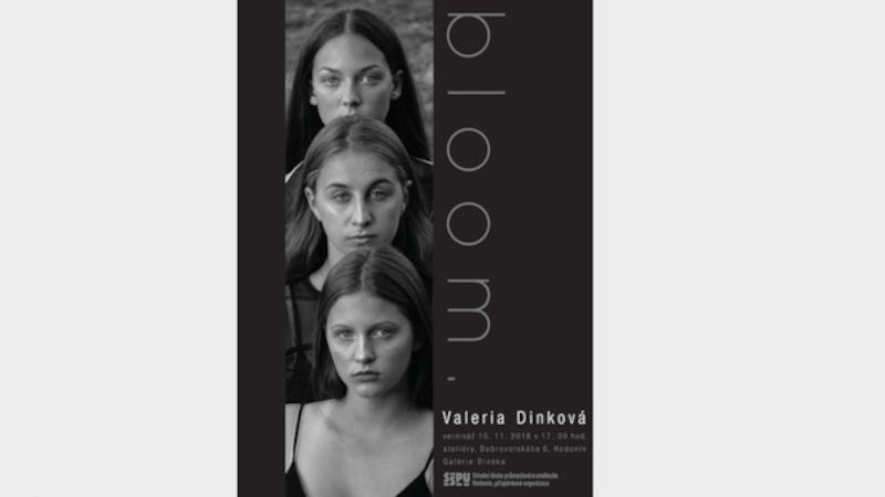 Výstava Valerie Dinkové, studentky 3. ročníku hodonínské umělecké průmyslovky, má název Bloom
