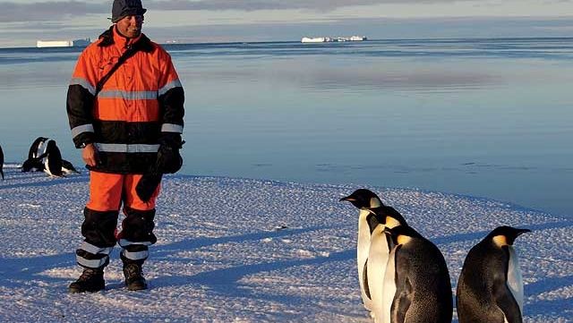 Na Anterktidě se někdo může dostat k tučňákům trochu blíže než v zoo.