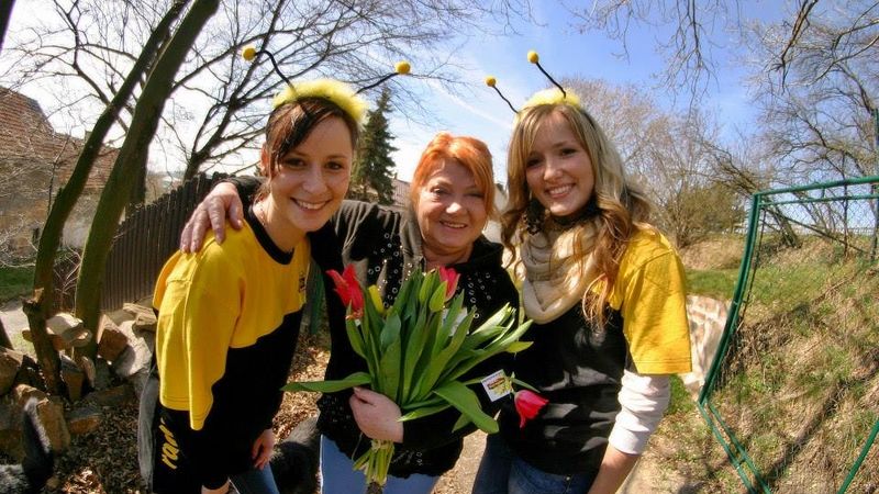 Radost z tulipánů měla i Věra Špinarová