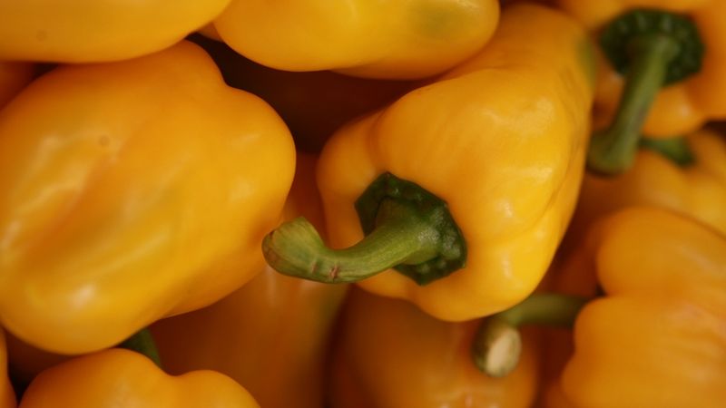 Zelenina zdražuje. Zvlášť výrazně vzrostly ceny paprik
