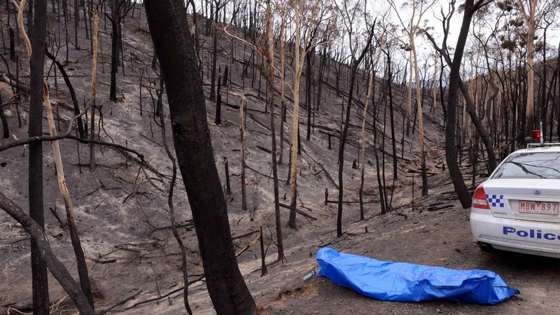 Oběť požárů v Austrálii