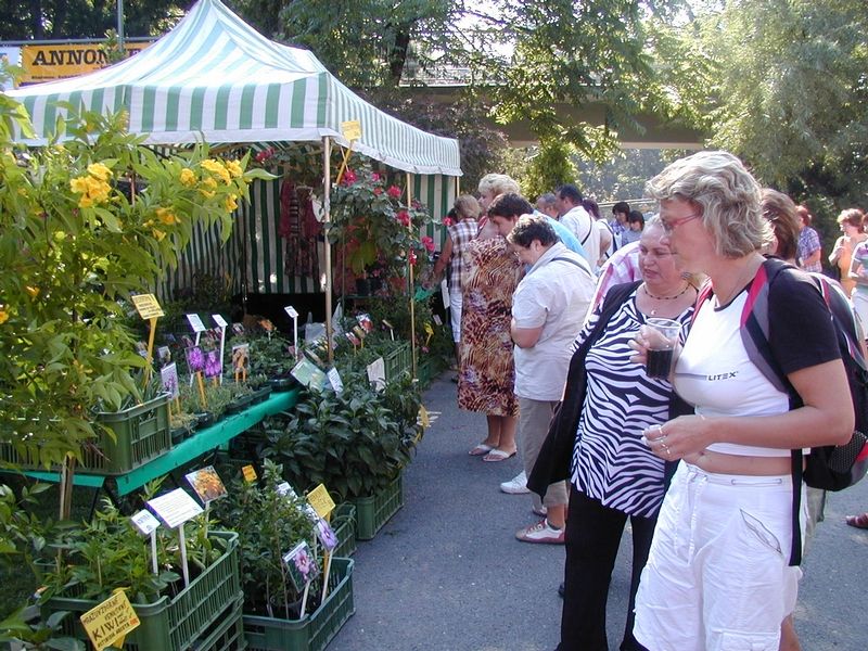Od čtvrtka probíhají na olomouckém výstavišti i letní zahradnické trhy.
