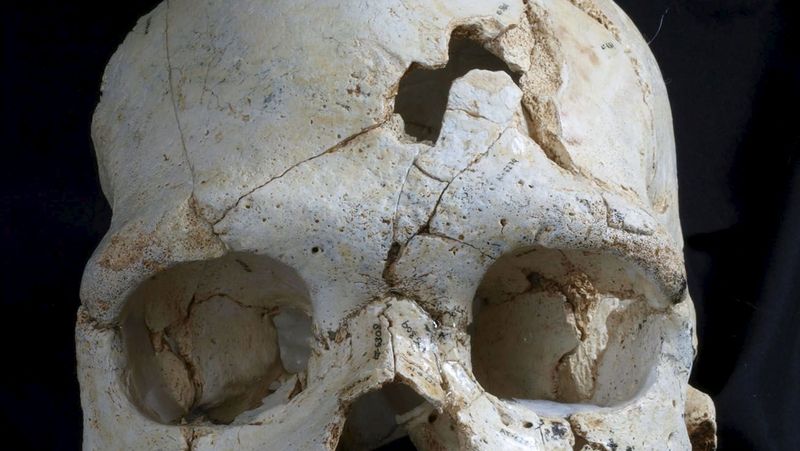 Lebka nejstaršího známého násilně zabitého pračlověka