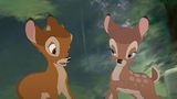 10 tipů na filmy od Disneyho, mistra animovaných pohádek