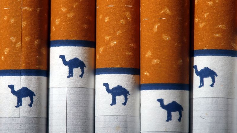 Cigarety Camel, které vyrábí Reynolds American