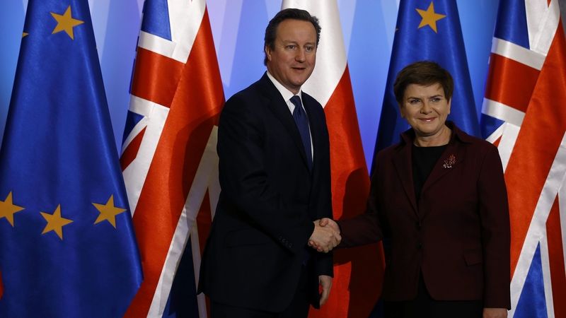 Předsedové vlád Británie a Polska David Cameron a Beata Szydlová 