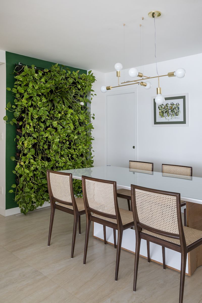 V jídelně je zelená stěna s automatickým zaléváním.