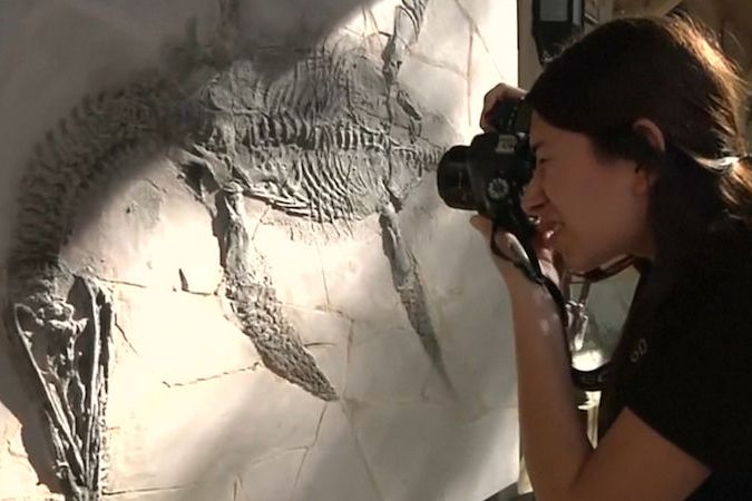 BEZ KOMENTÁŘE: V Mexiku objevili kompletní kostru nového mořského ještěra starou 93 miliónů let