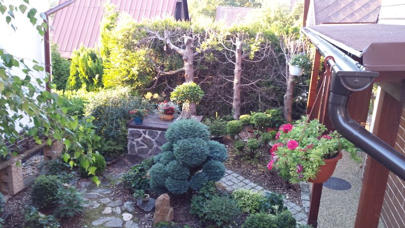 Zahrada před chatou je zařízena v asijském stylu.