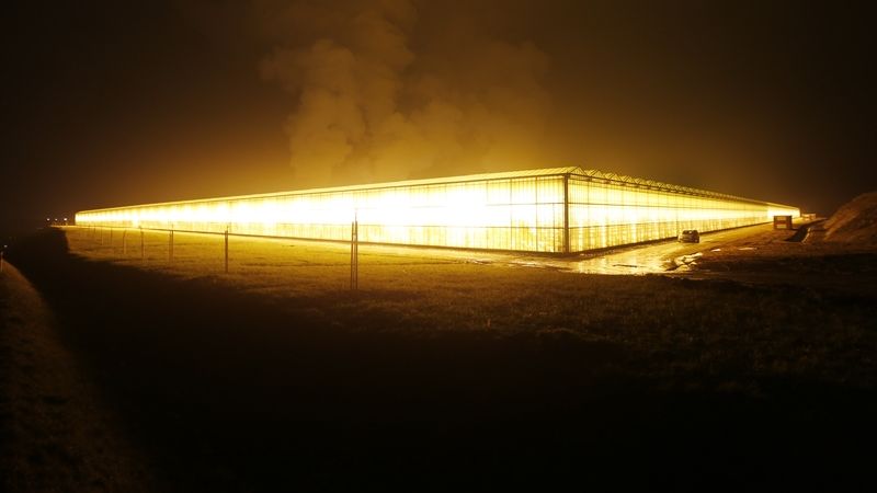Na archivním snímku svítící skleníky na rajčata v polské Bogatynii, které jsou zdrojem světelného znečištění.