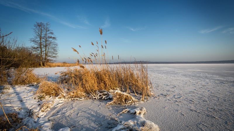 Zatímco je okolní krajina pokrytá sněhem a ledem, vy si můžete užívat tepla v braniborských termálních lázních a wellness!