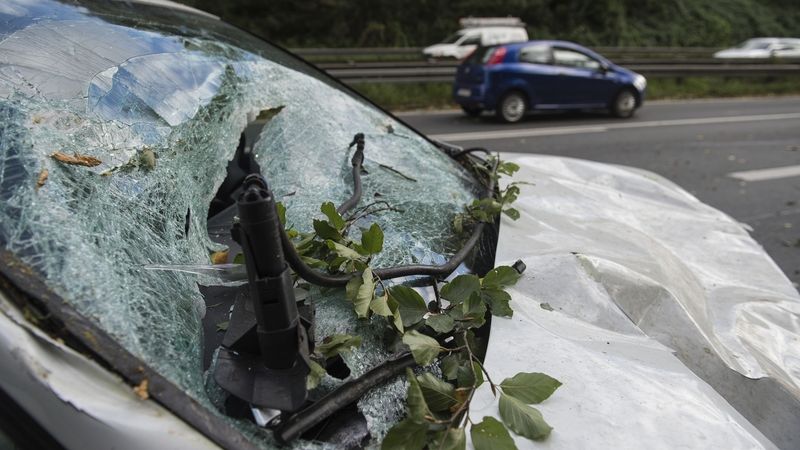 Auto poškozené po pádu stromu v Hanoveru