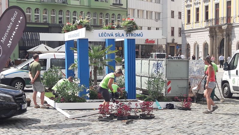 Na Horním náměstí v centru Olomouce již pracovníci Výstaviště Flora instalovali upoutávku na letní etapu zahradnického veletrhu. 