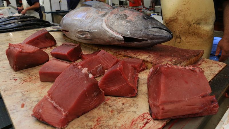 Ráno vylovení tuňáci se na tržiště dostávají v dopoledních hodinách. Cena se liší v závislosti na velikosti tuňáka a na prodejci. Obecně však oproti České republice značně ušetříte. A ta čerstvost...