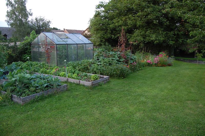 V okolí ksleníku jsou sdruženy záhony se zeleninou a ovocné keře. V pozadí je kompost posázený dýněmi a okurkami.
