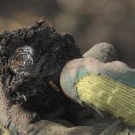 Takto archeologové denáry u Chýště většinou nacházeli, obalené hroudou hlíny.