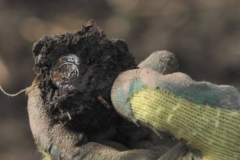 Takto archeologové denáry u Chýště většinou nacházeli, obalené hroudou hlíny.