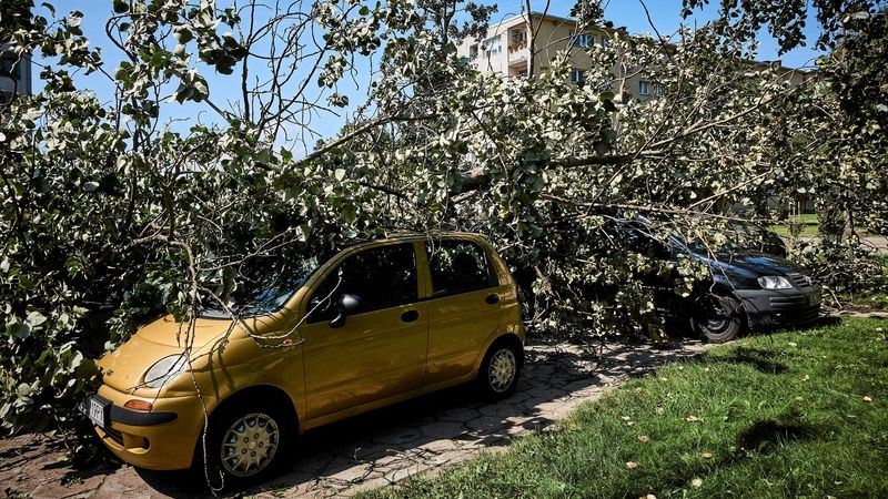 Spadlý strom na automobil v polské Lodži