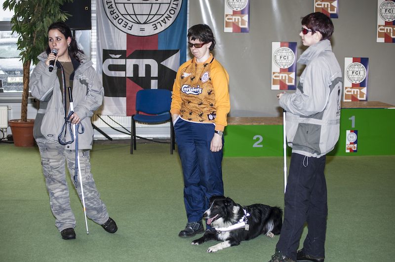 Výstav se účastní například i asistenční psi pro nevidomé.
