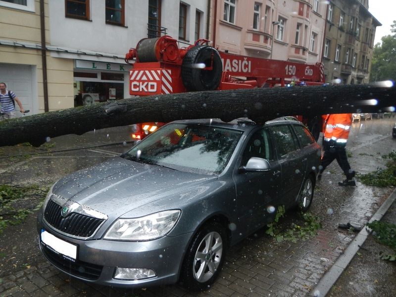 Kmen stromu v Českých Budějovicích spadl na dvě auta. 