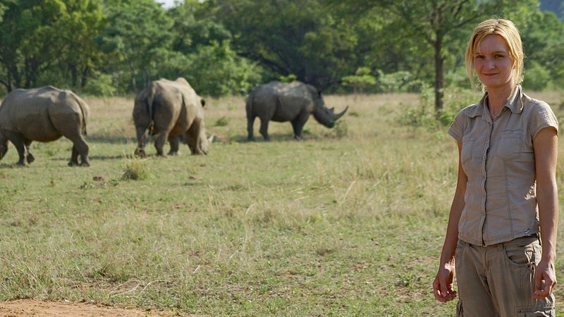 Dvaatřicetiletá zooložka v rezervaci Lapalala Wilderness v JAR se svými kamarády i objekty výzkumu – nosorožci tuponosými.