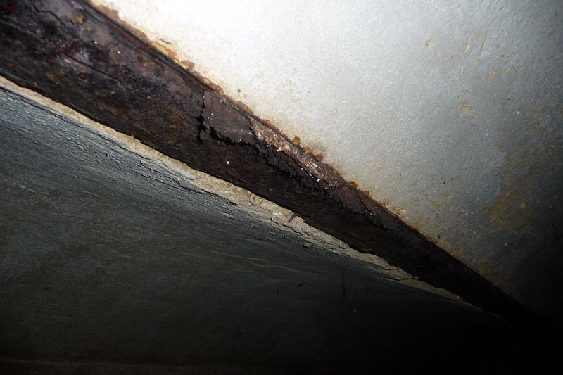 Rozsah koroze u ocelového profilu na stropě v suterénu