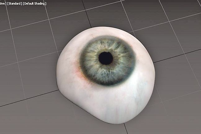 Vizualizace oční protézy z 3D tiskárny