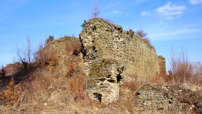 Zřícenina hradu Šelenburk (Cvilín)
