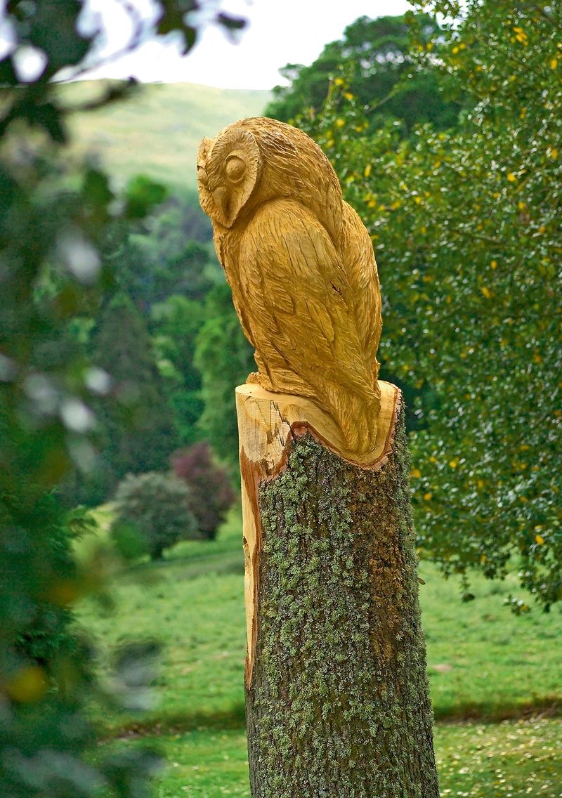 Úchvatná sova sedí nad trávníkem mezi stromy na kmeni, ze kterého byla vytesána. 