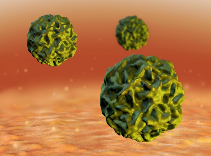 Lecba hpv virus. Papillomavirus prirodni lecba