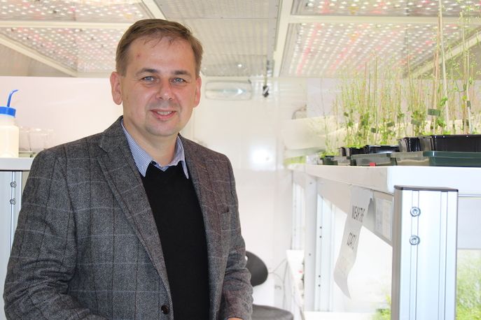 Karel Říha z brněnského institutu CEITEC již řadu let zkoumá, jak rostliny chrání svou genetickou informaci.