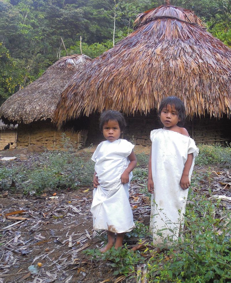Kojenecká úmrtnost je v kmeni Arhuacos vysoká. Děti, které přežijí, však nejsou skoro vůbec nemocné.