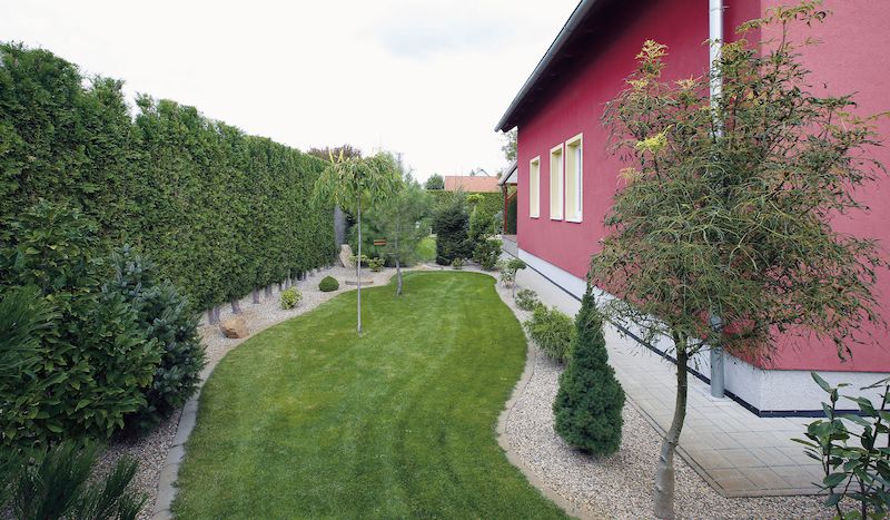 Zelená hradba z tújí zastřižených na šířku přibližně 20 cm vyčleňuje zahradu z okolí. Travní cesta se vlní celou zahradou.