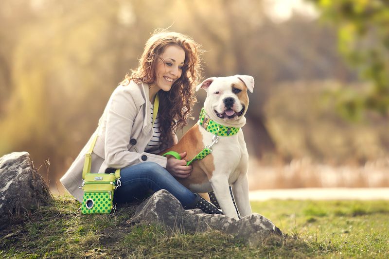 Obojek s vodítkem mohou být i designově sladěné s kabelkou majitelky psa.