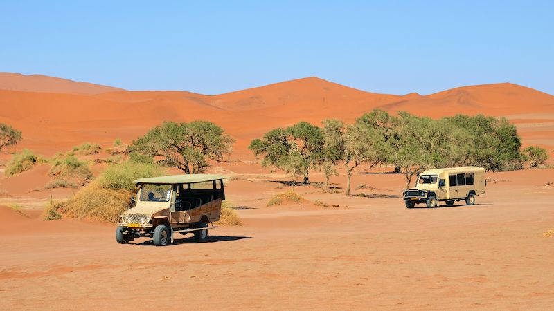 Autem se dá zajet i do namibijské měsíční krajiny mezi zkamenělé písečné duny a stoleté pouštní květiny.