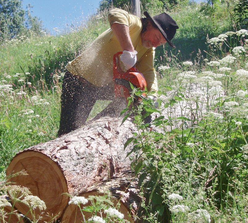 Miroslav Uškrt rád pracuje s jedlovým dřevem nebo původními smrky.