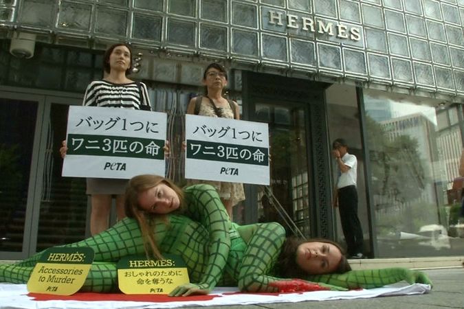 BEZ KOMENTÁŘE: Aktivisté v Tokiu protestovali proti používání kůže exotických zvířat na kabelky Hermès