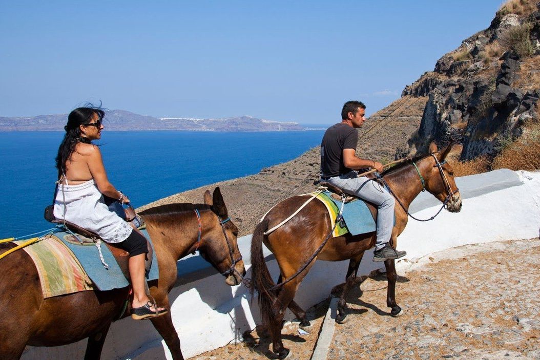Osli vozí turisty na Santorini, ale i v dalších řeckých letoviscích. 