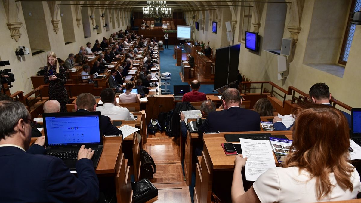 O potřebnosti vodního koridoru Dunaj - Odra - Labe jednali senátoři a odborníci na dopravu na veřejném slyšení v Senátu.