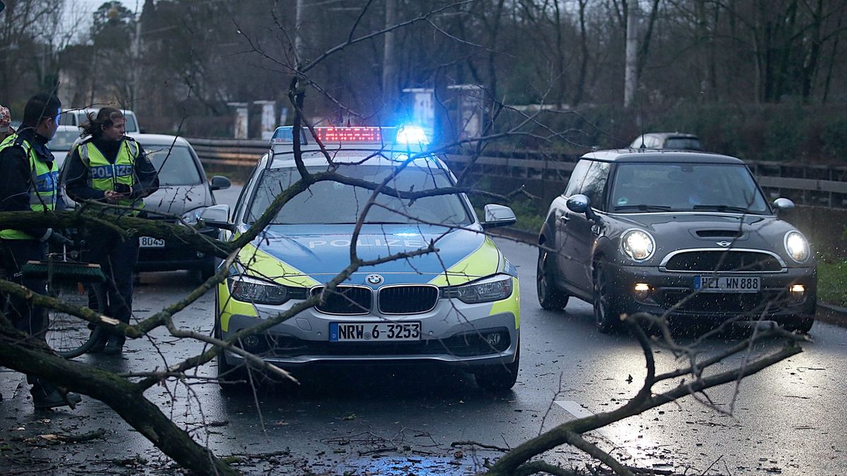 Němečtí policisté zastavují vozidla před spadlým stromem v Kolíně.