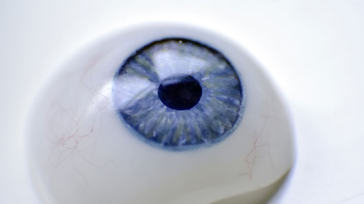 Na snímku je oční protéza, kterou Ondřej Vocílka vyrobil na 3D tiskárně.