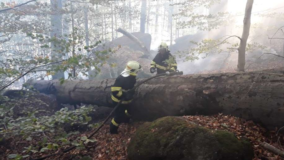 Požár lesa v Raspenavě na Liberecku